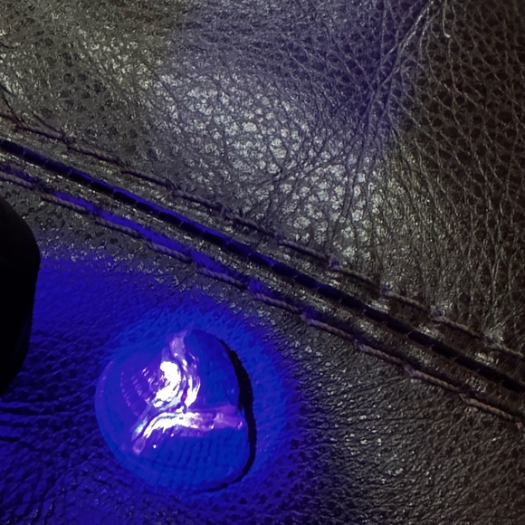 Assorted Seashell Collection - Picture 8 of 12